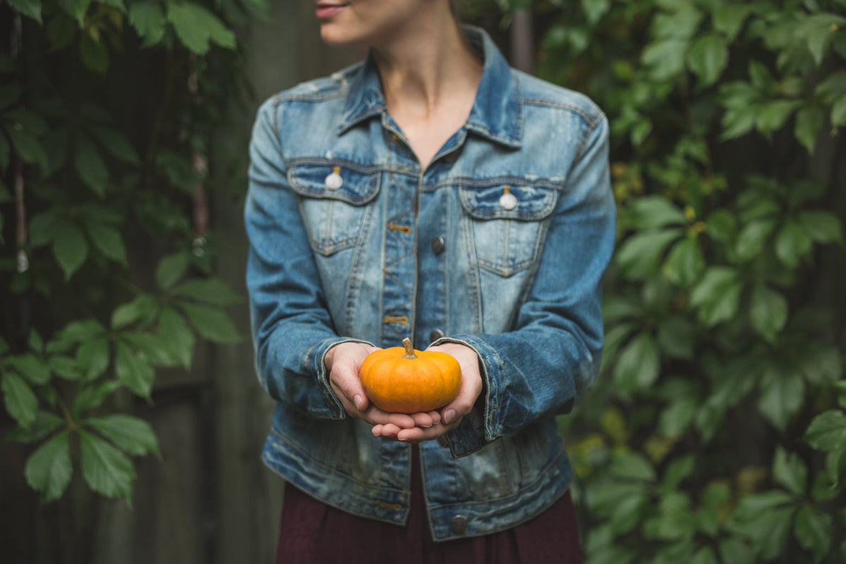 Fall Feels