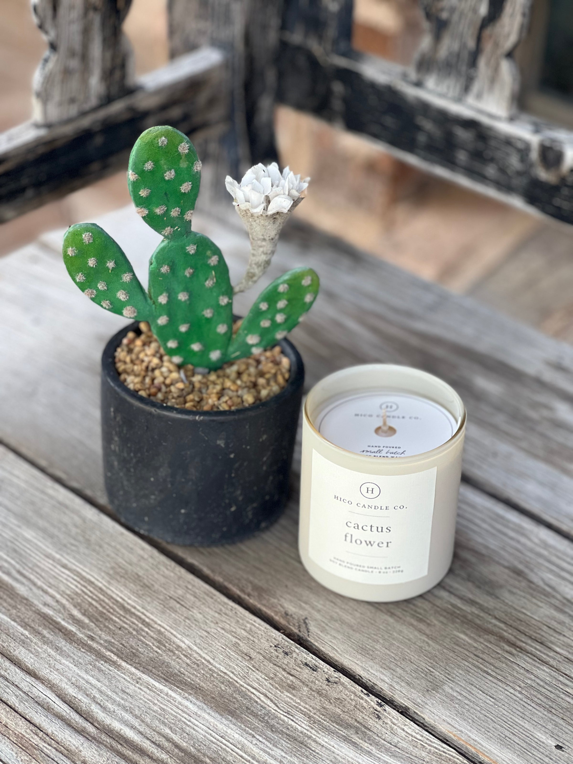 Hico Candle Co | Cactus Flower 8oz Candle