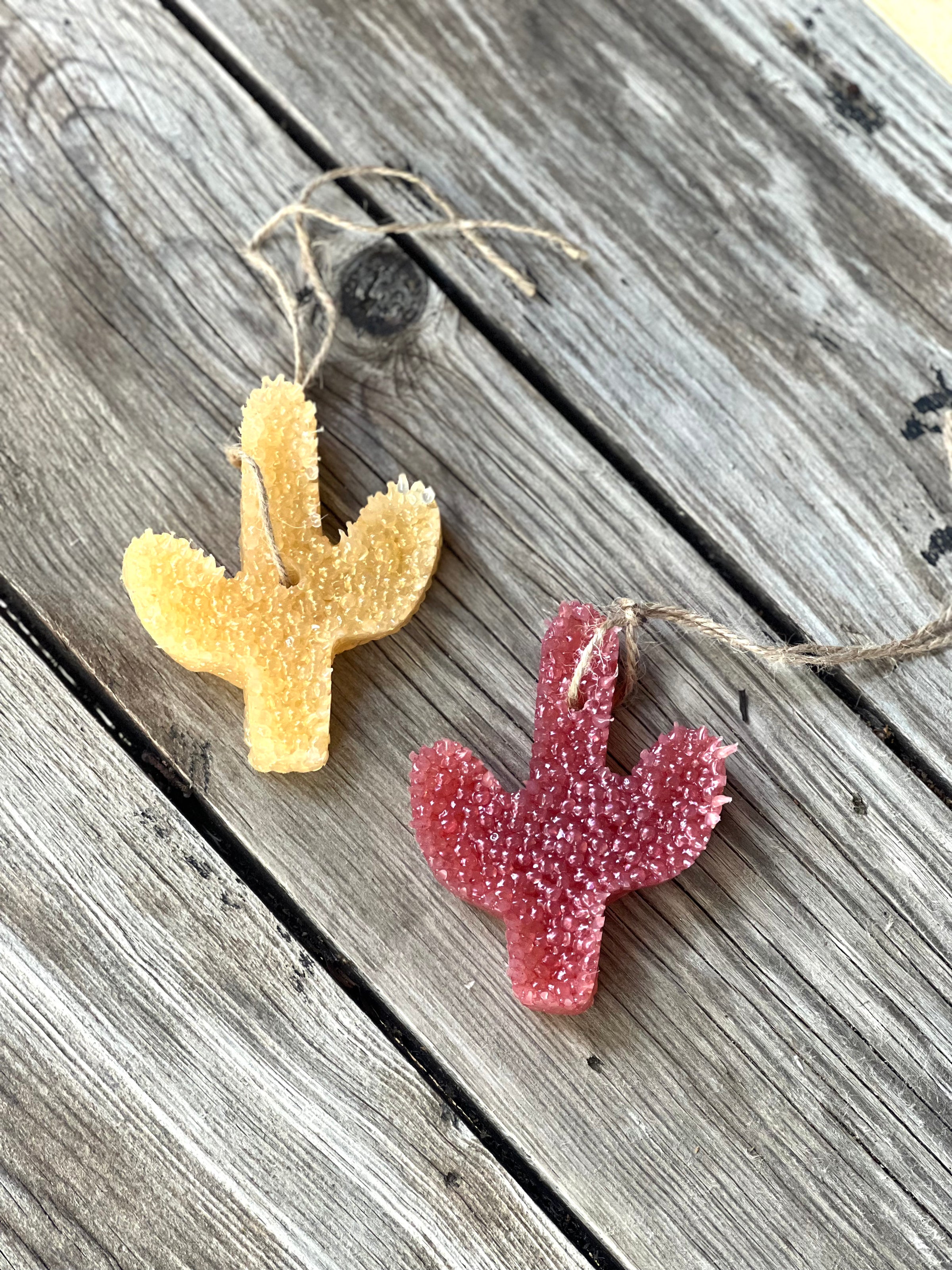 Cactus Car Fresheners