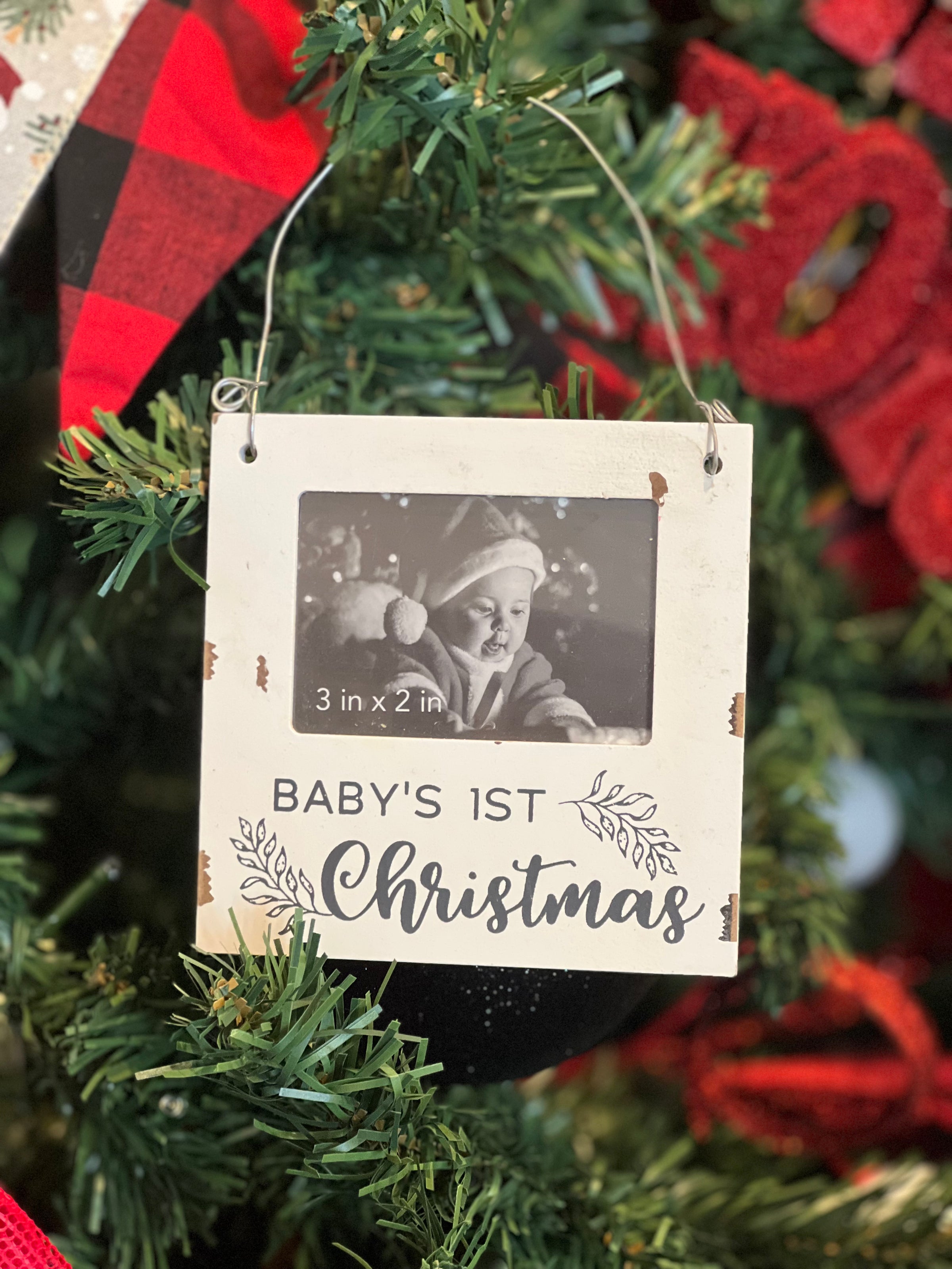 Baby Chippy Photo Ornie