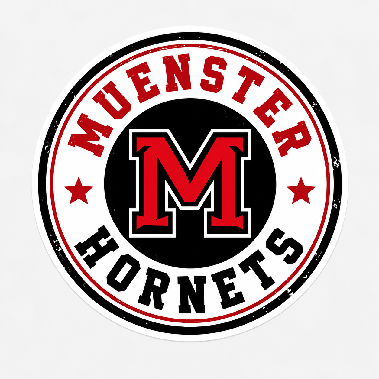 PREORDER | Muenster Hornets Car Decals