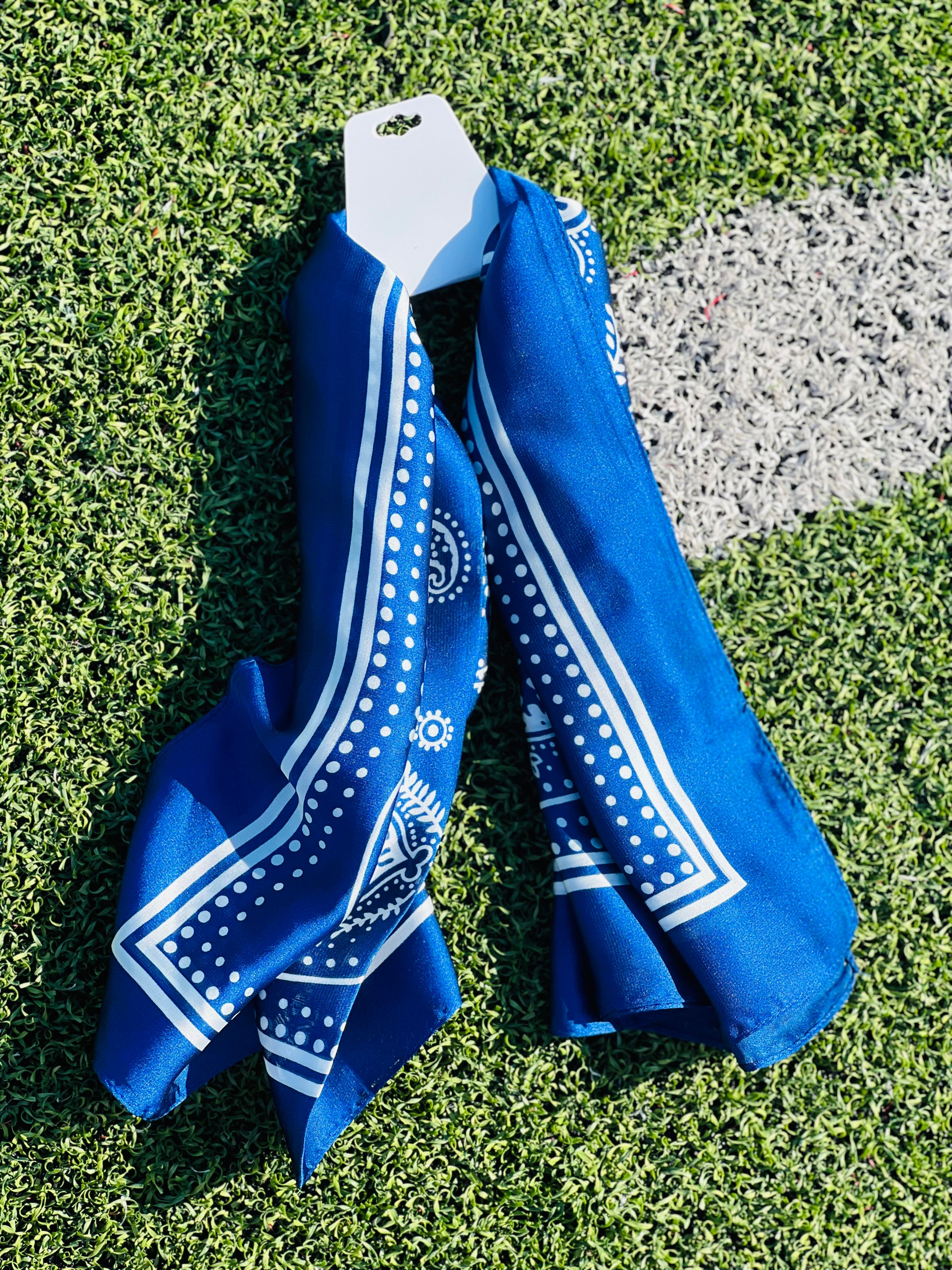Blue Game Day Wild Rags